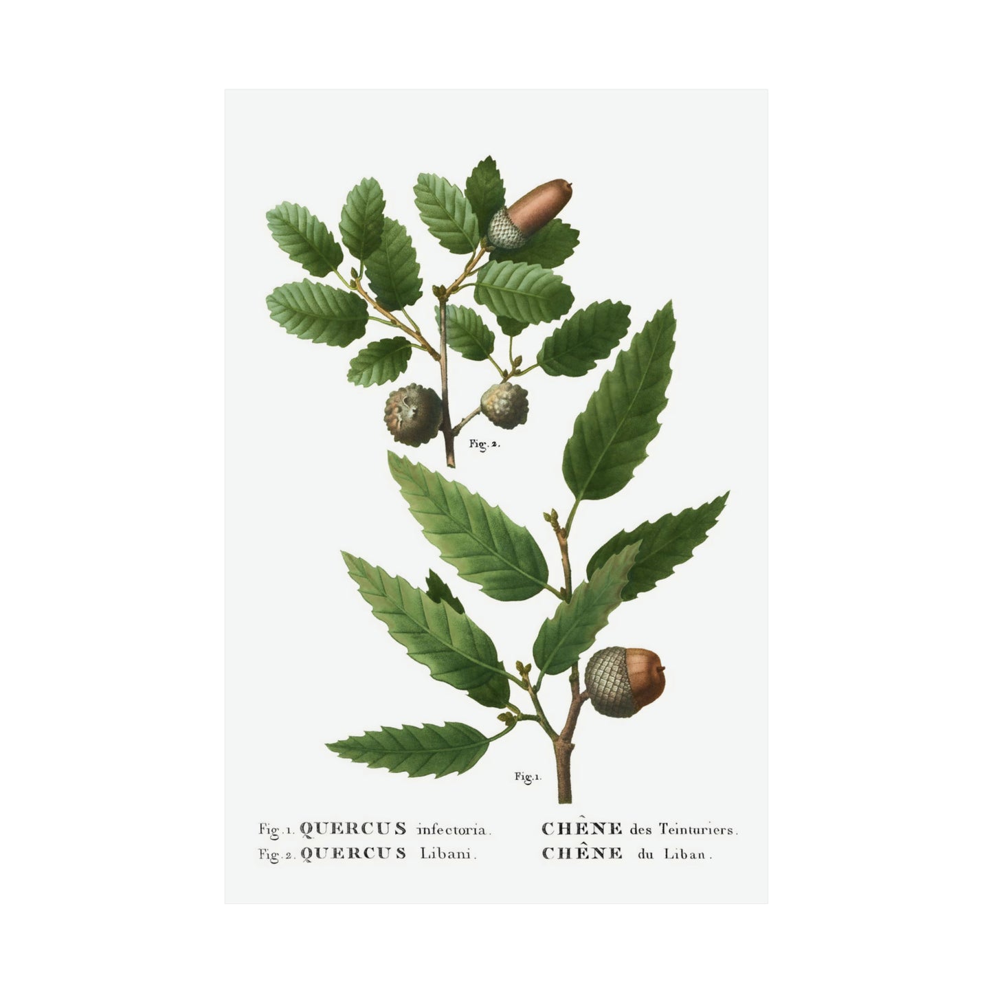 Fall Acorn Wall Art 3