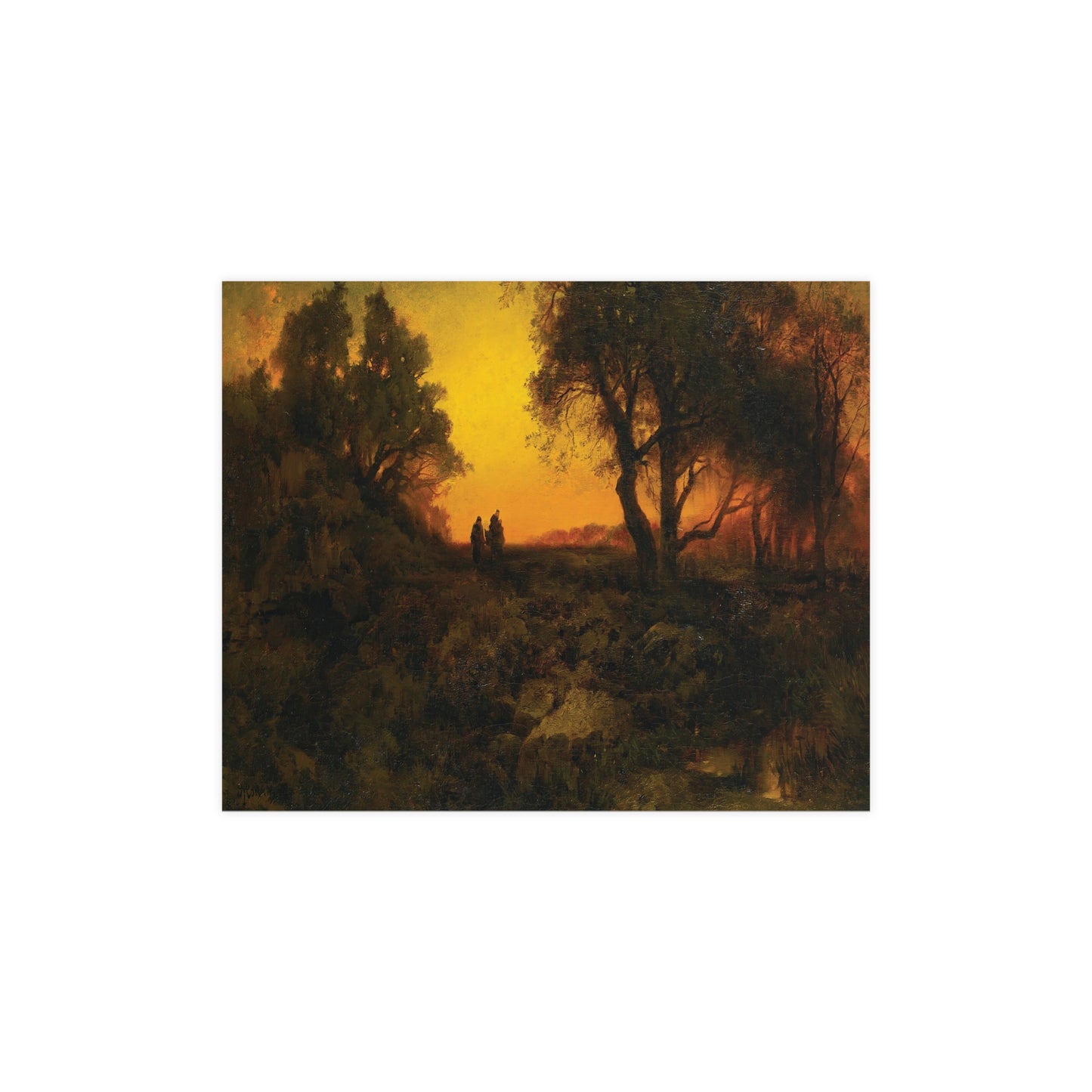 Sunset Over Fall Forest