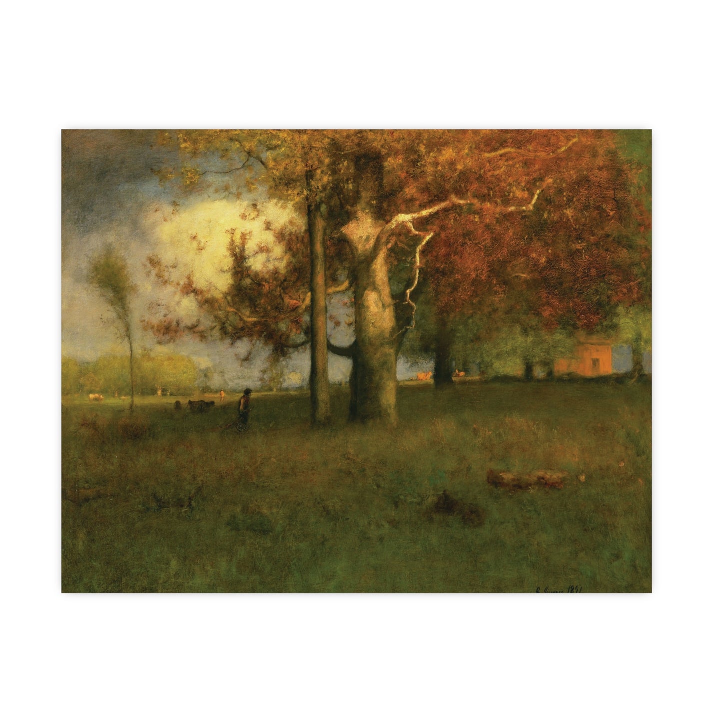 Charming Fall Tree