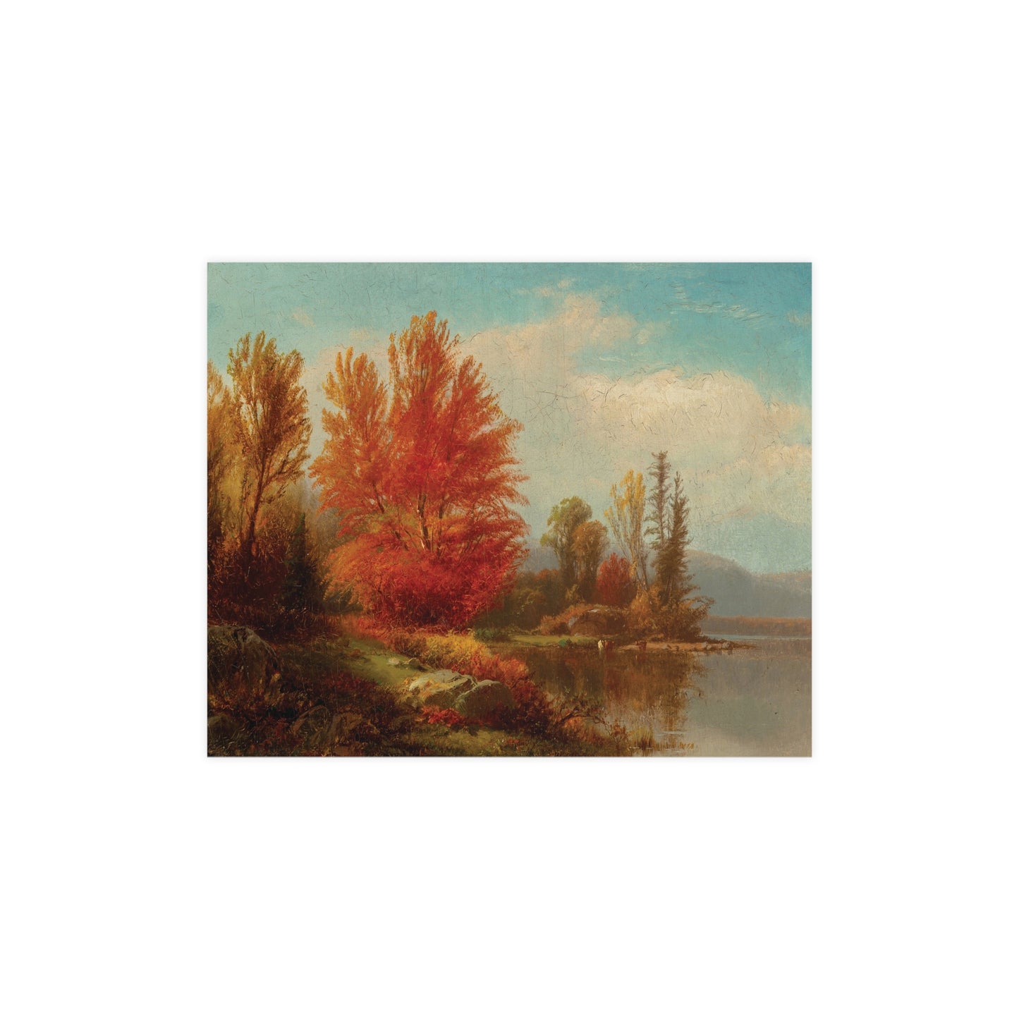 Autumn Trees