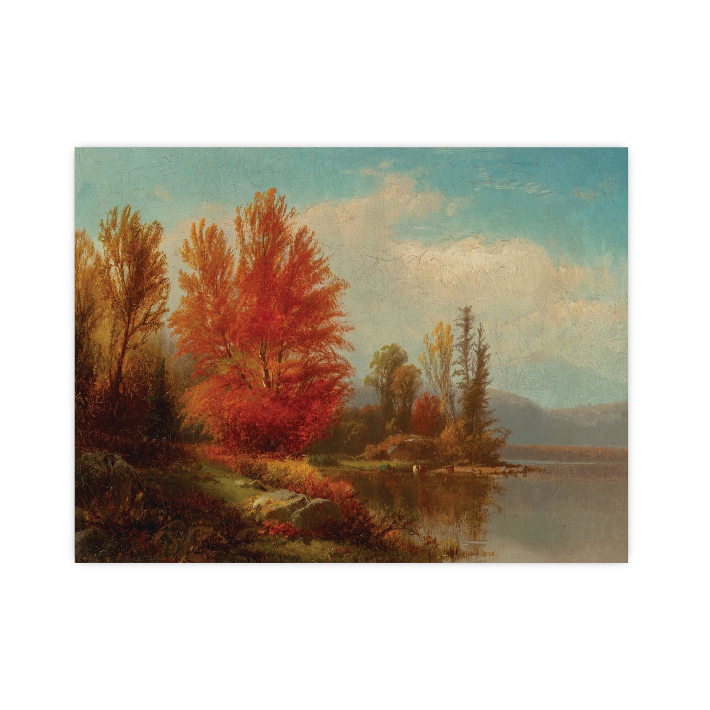 Autumn Trees