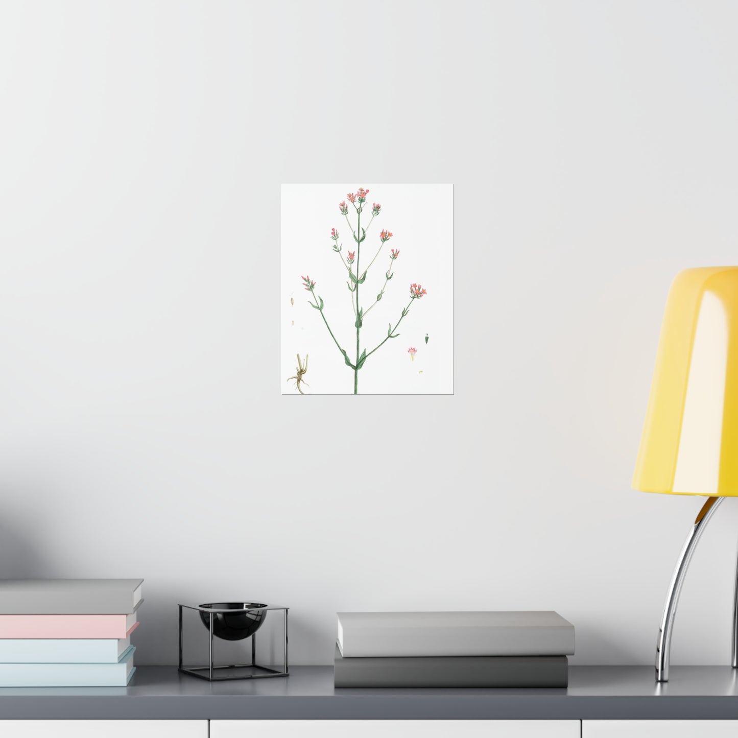La Petite Centauree Flower Wall Print