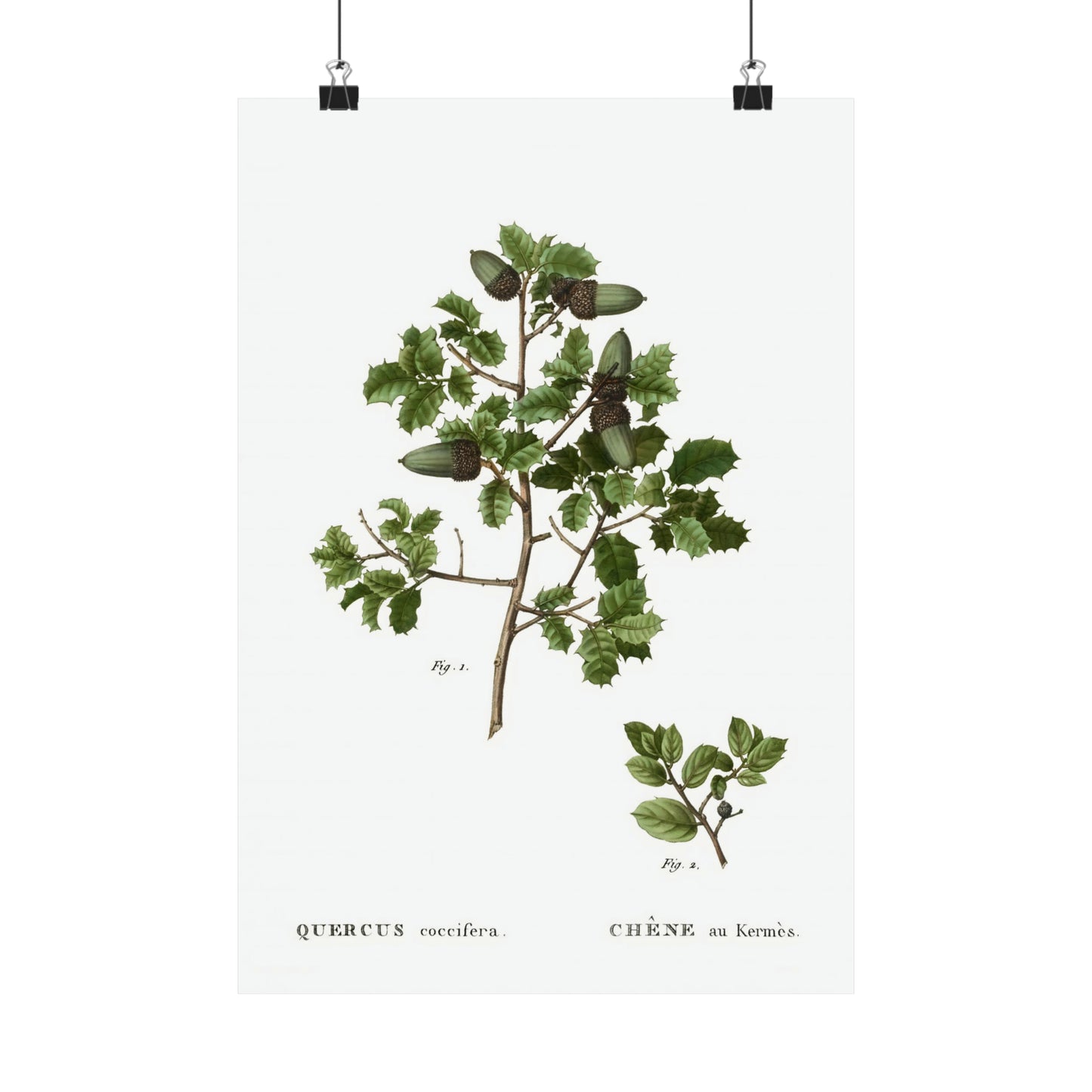 Fall Acorn Wall Art 10