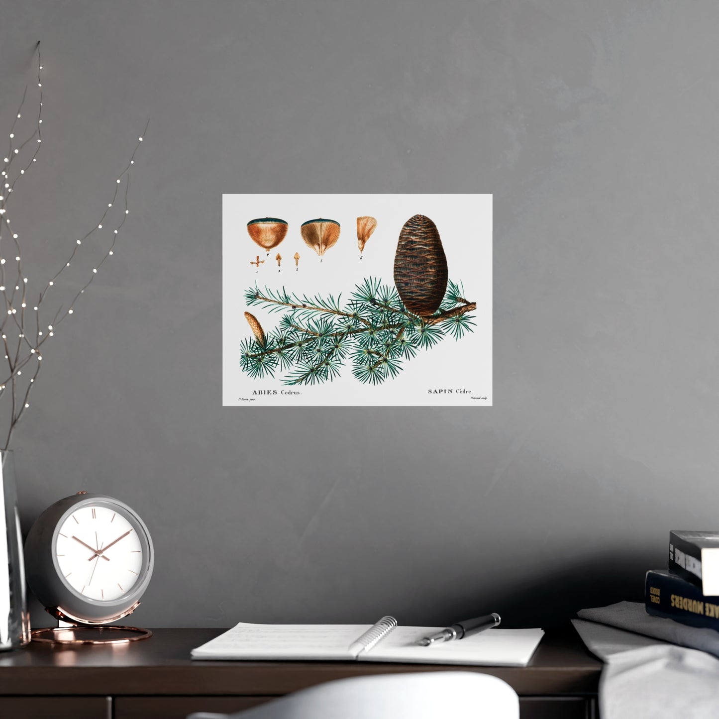 Acorn 9