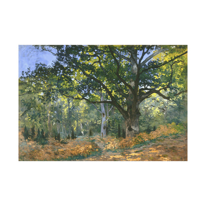 The Bodmer Oak, Fontainebleau Forest