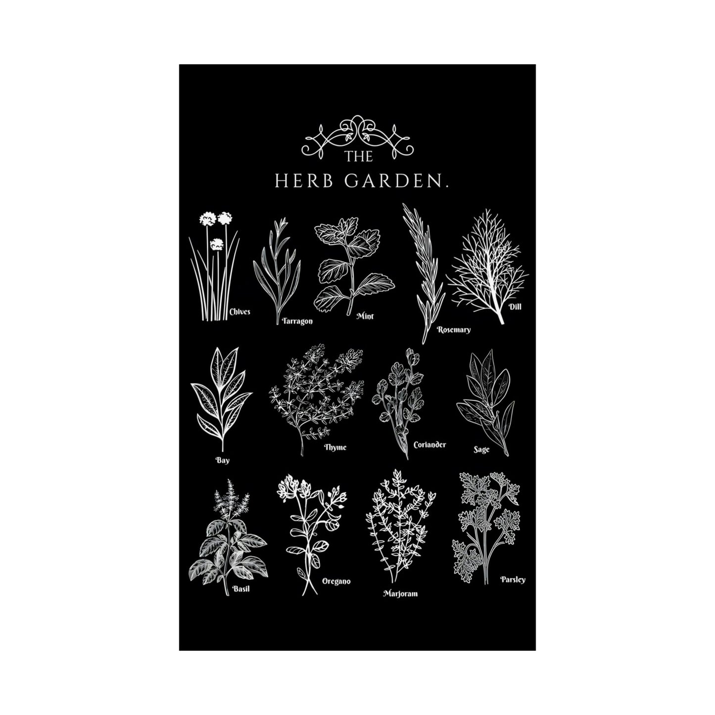 Herbs Garden Poster