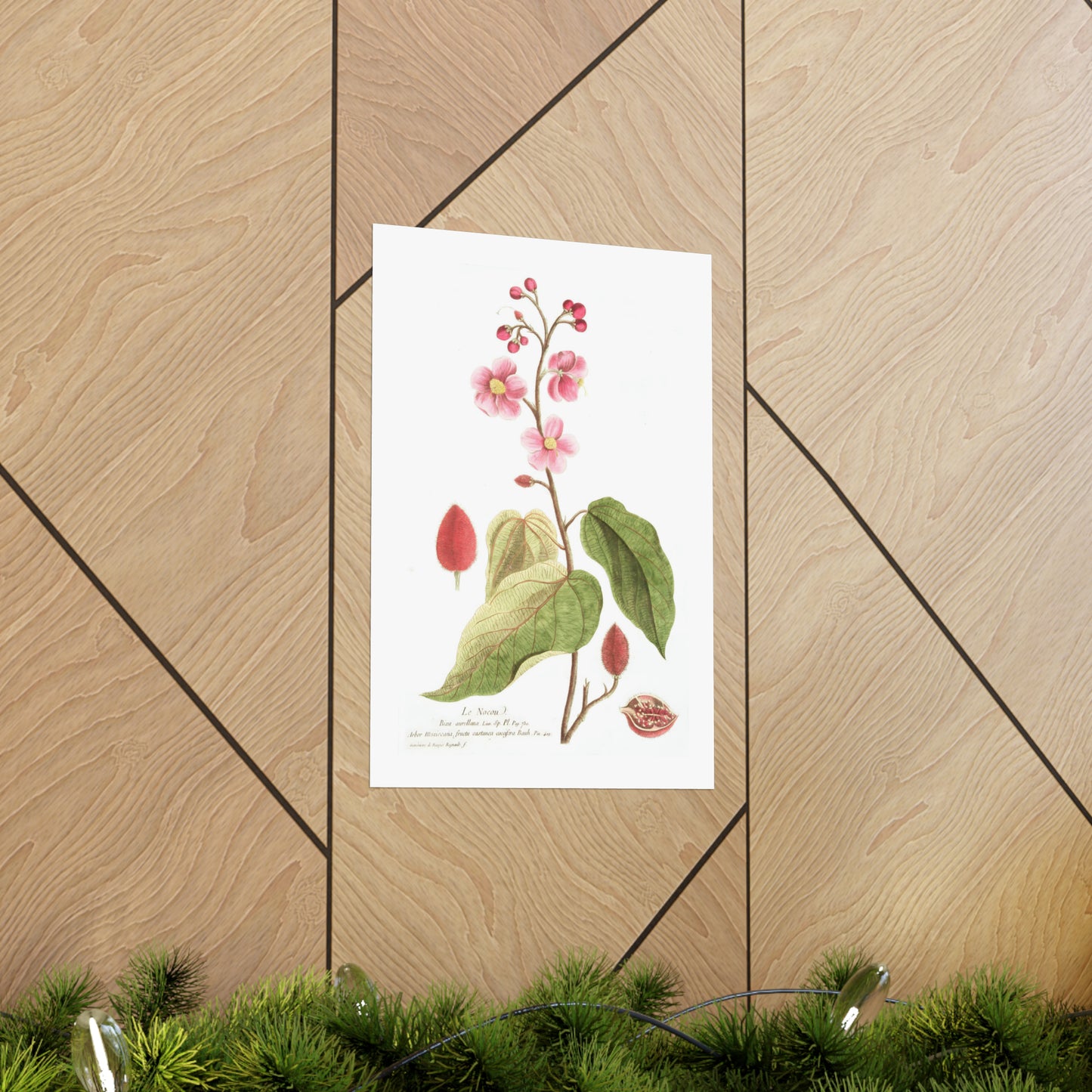 Le Nocou Flower Wall Print