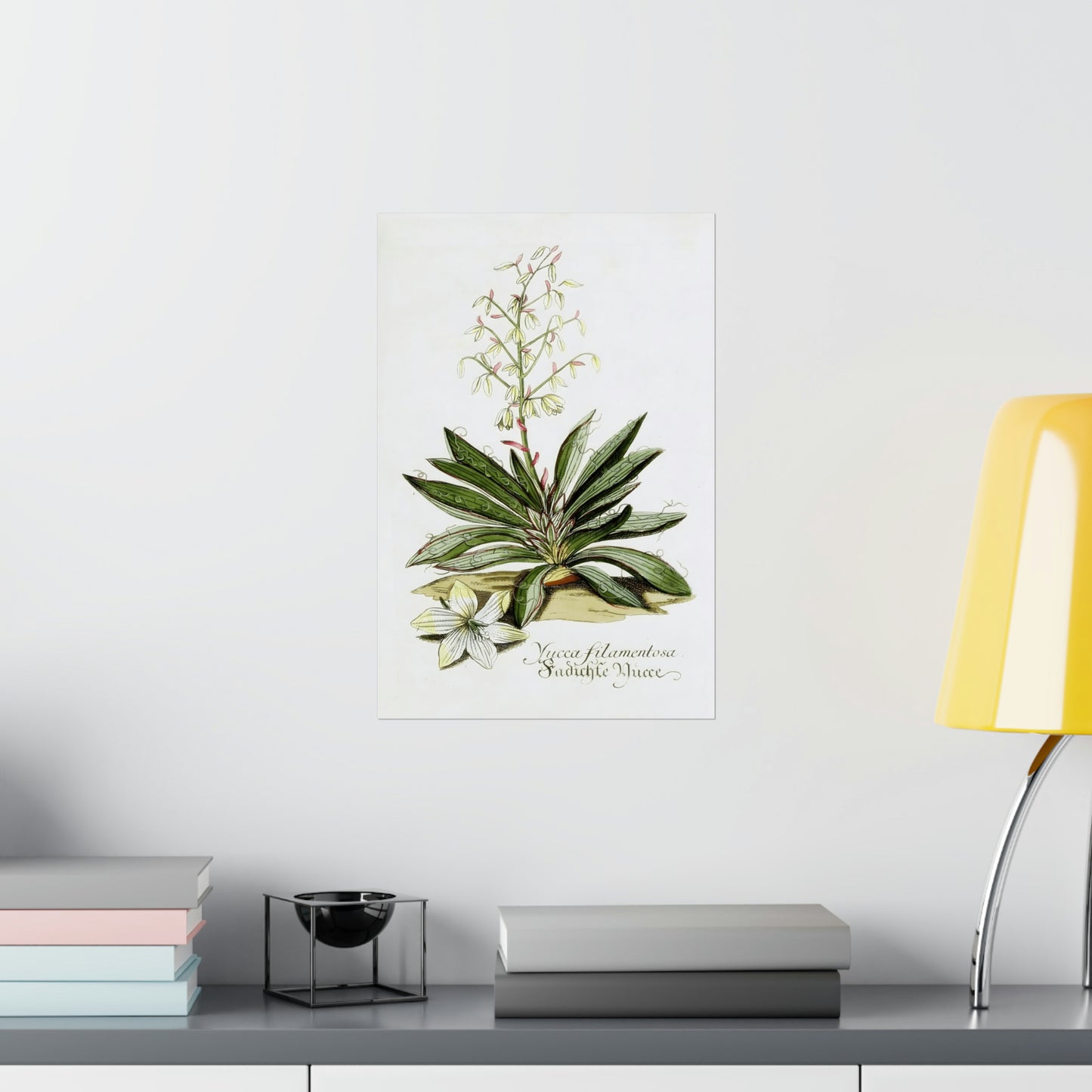 Yucca Filamentosa Flower Wall Print