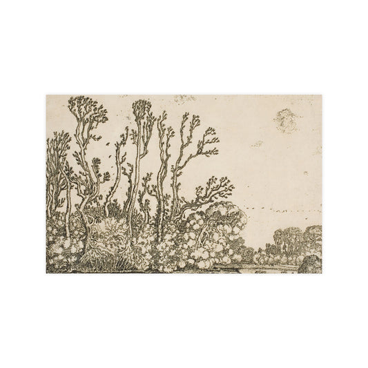 Old Trees Landscape Wall Print