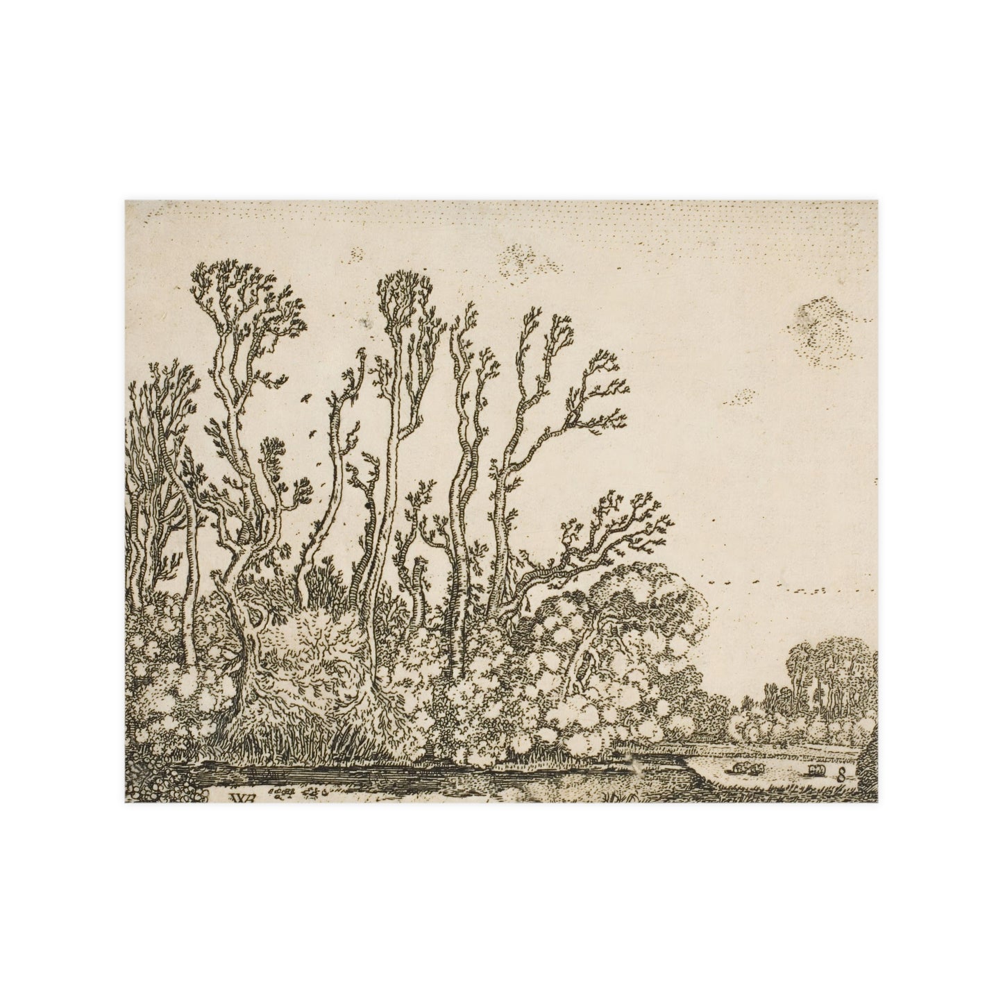 Old Trees Landscape Wall Print