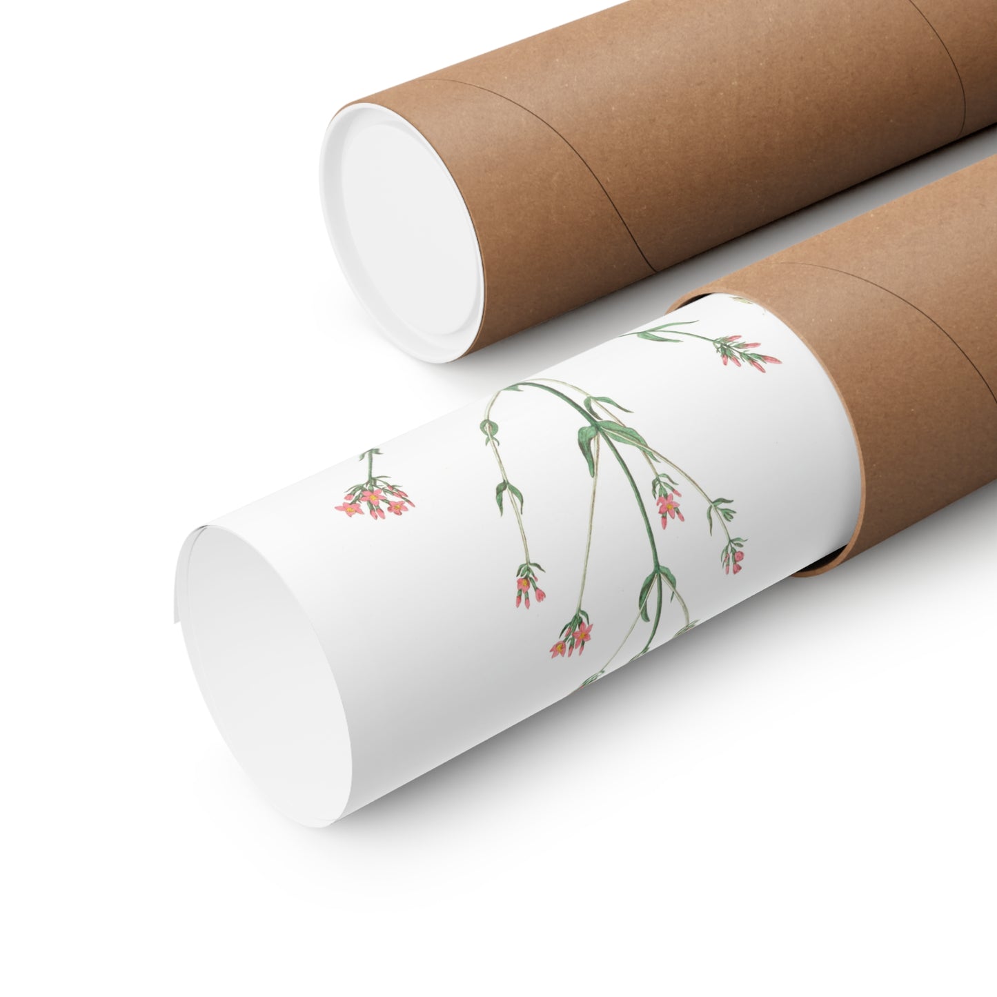 La Petite Centauree Flower Wall Print