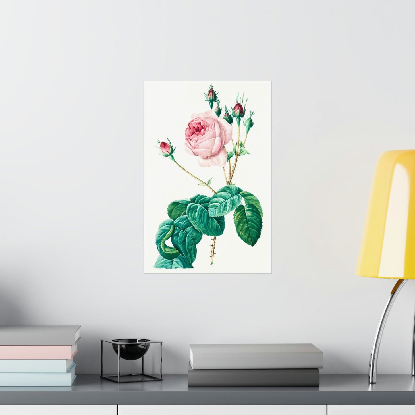 Light Pink Rose with Buds