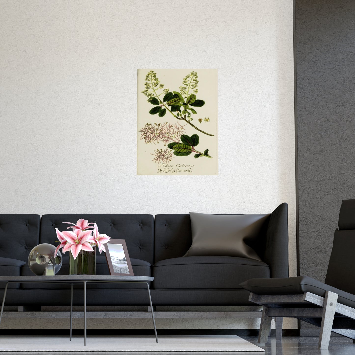 Cotinus Wig Tree Wall Art Prints
