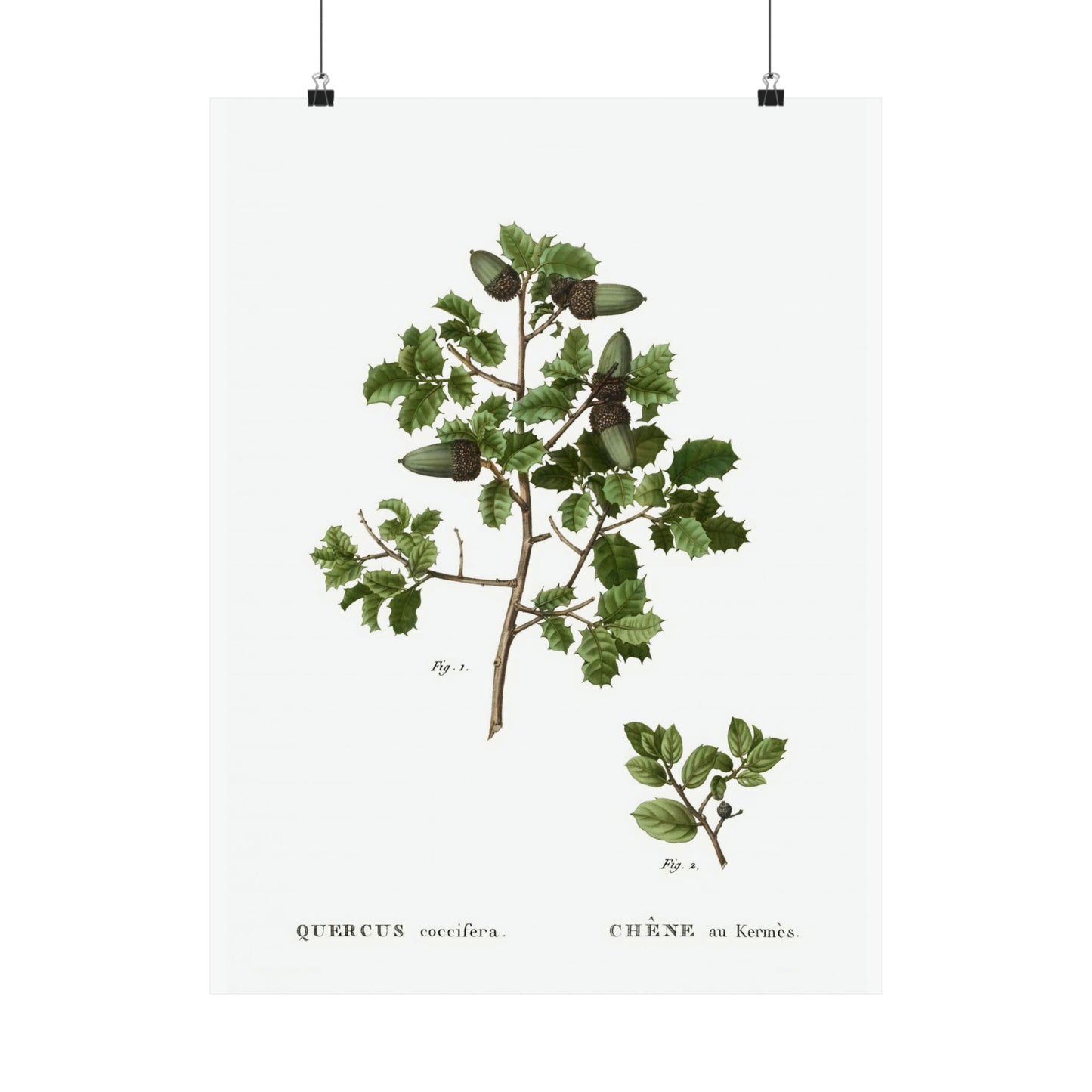 Fall Acorn Wall Art 10