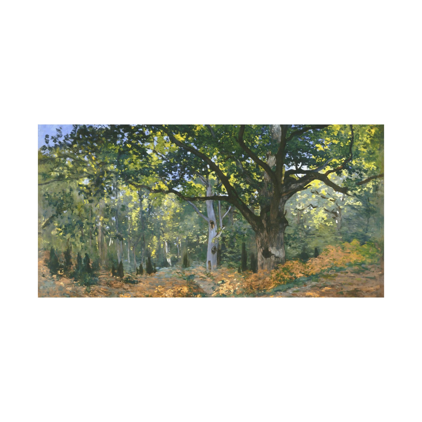 The Bodmer Oak, Fontainebleau Forest