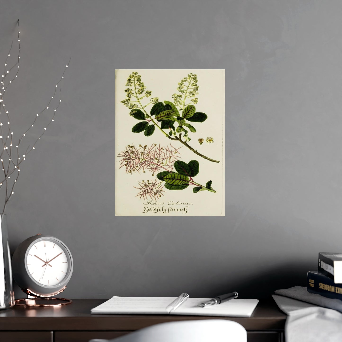 Cotinus Wig Tree Wall Art Prints