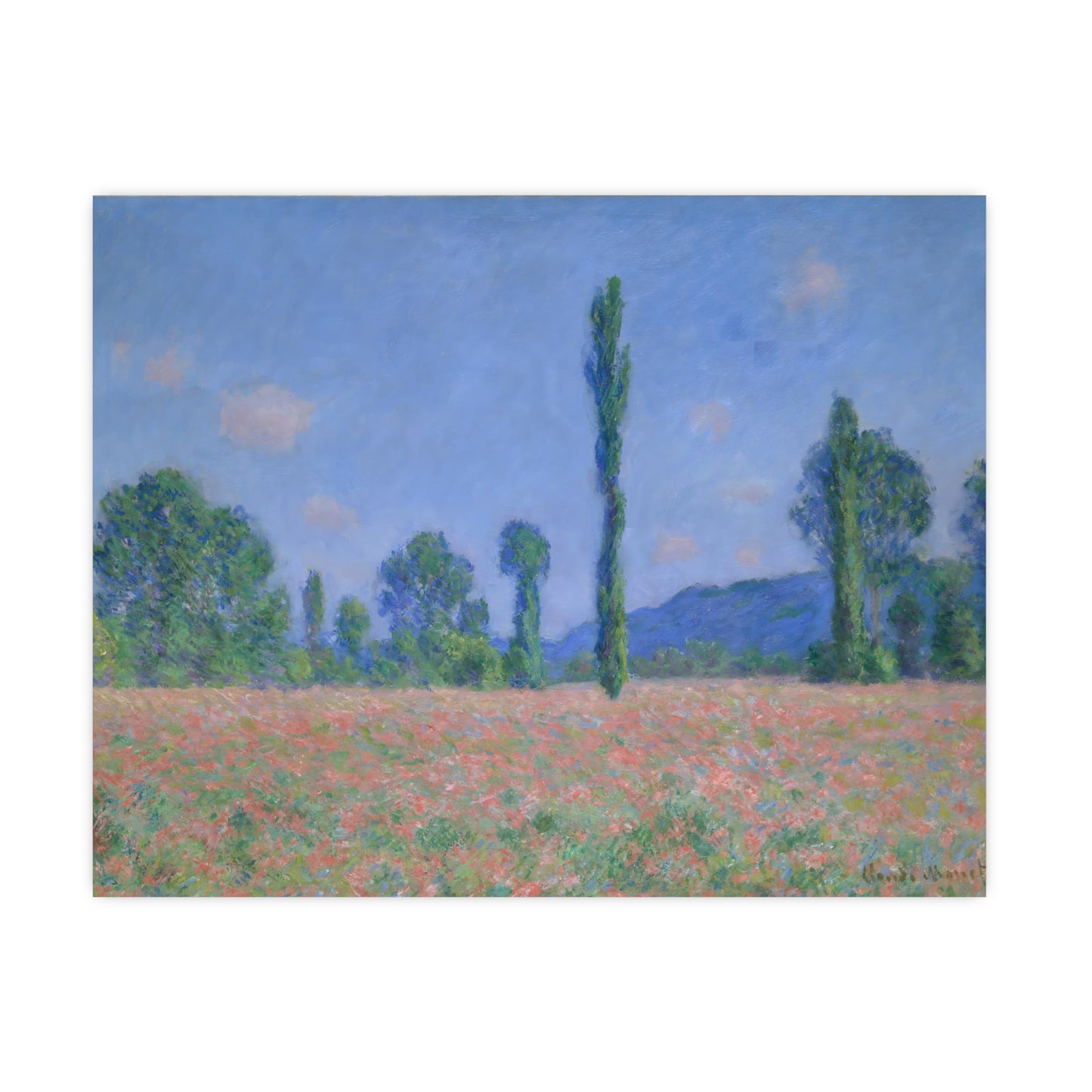 Poppy Field Wall Prints