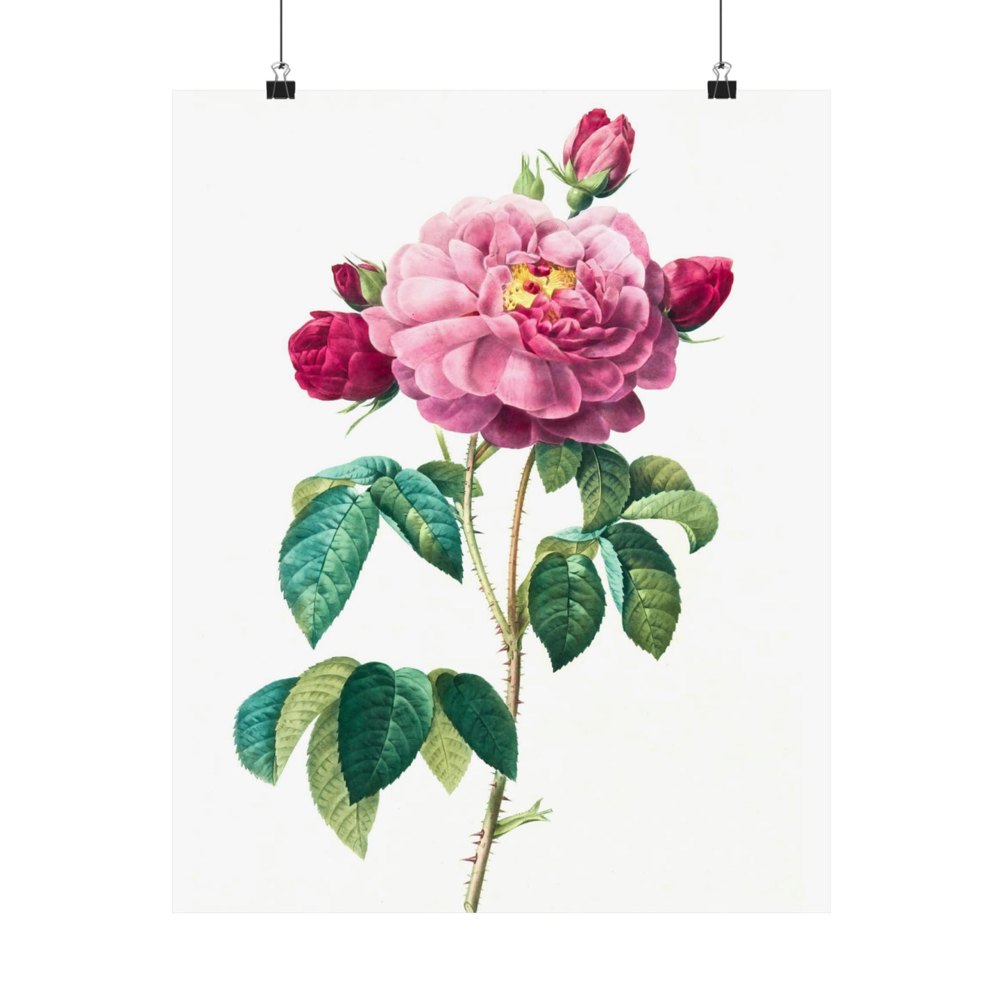 Bright Pink Rose with 2 Buds