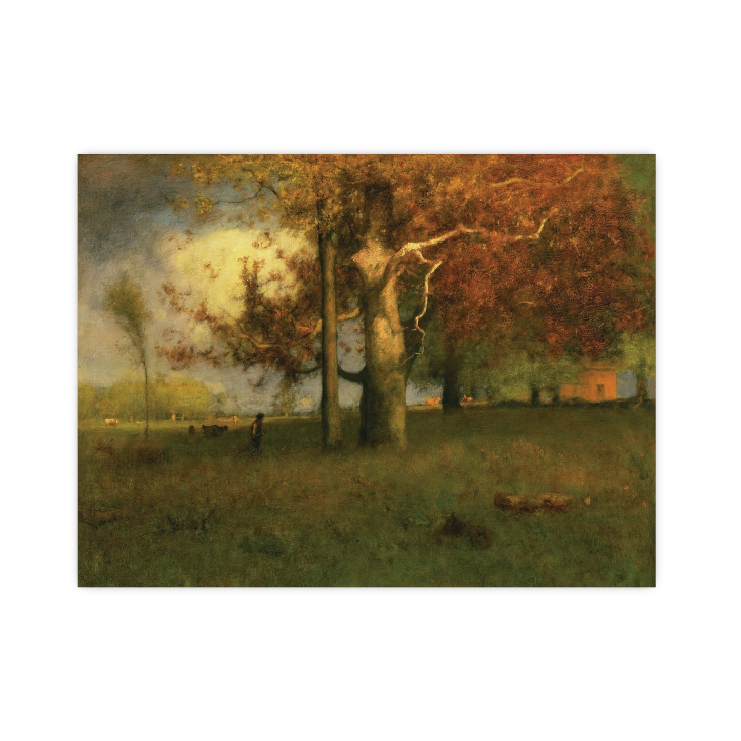 Charming Fall Tree