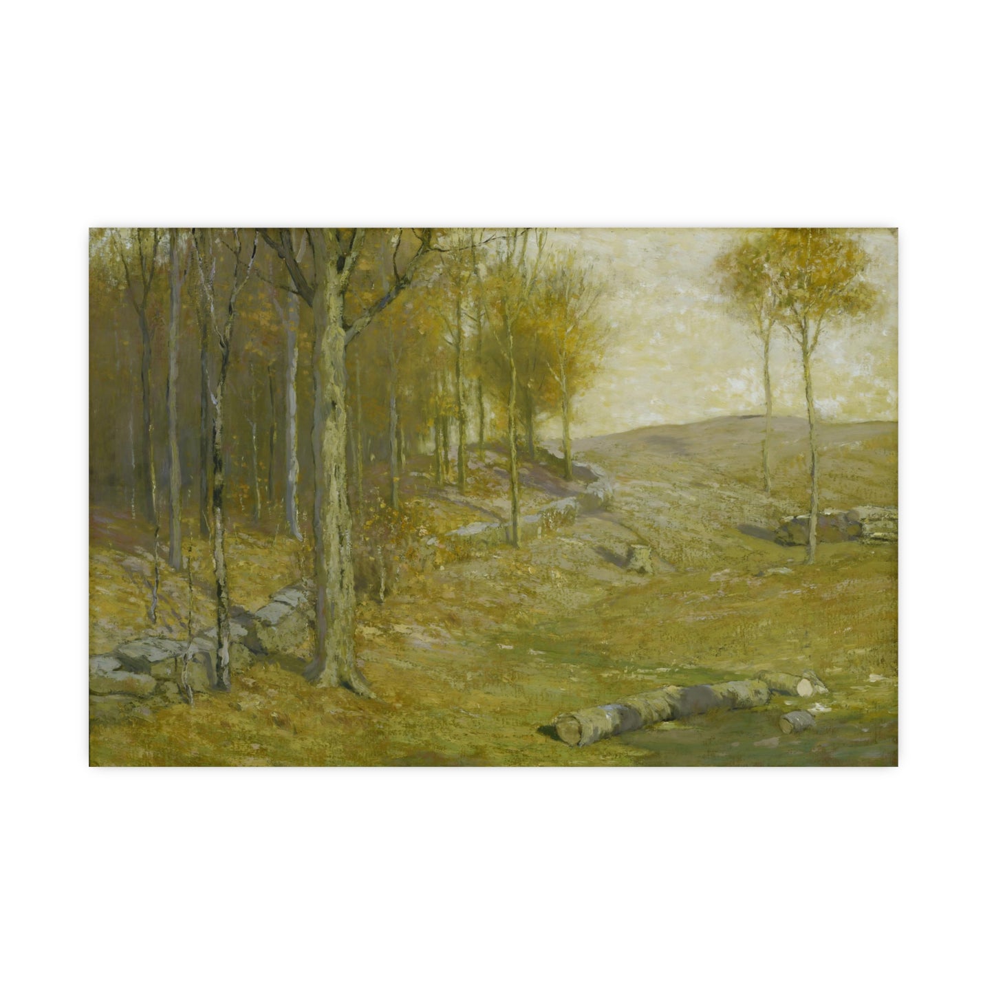Autumn in the Forest
