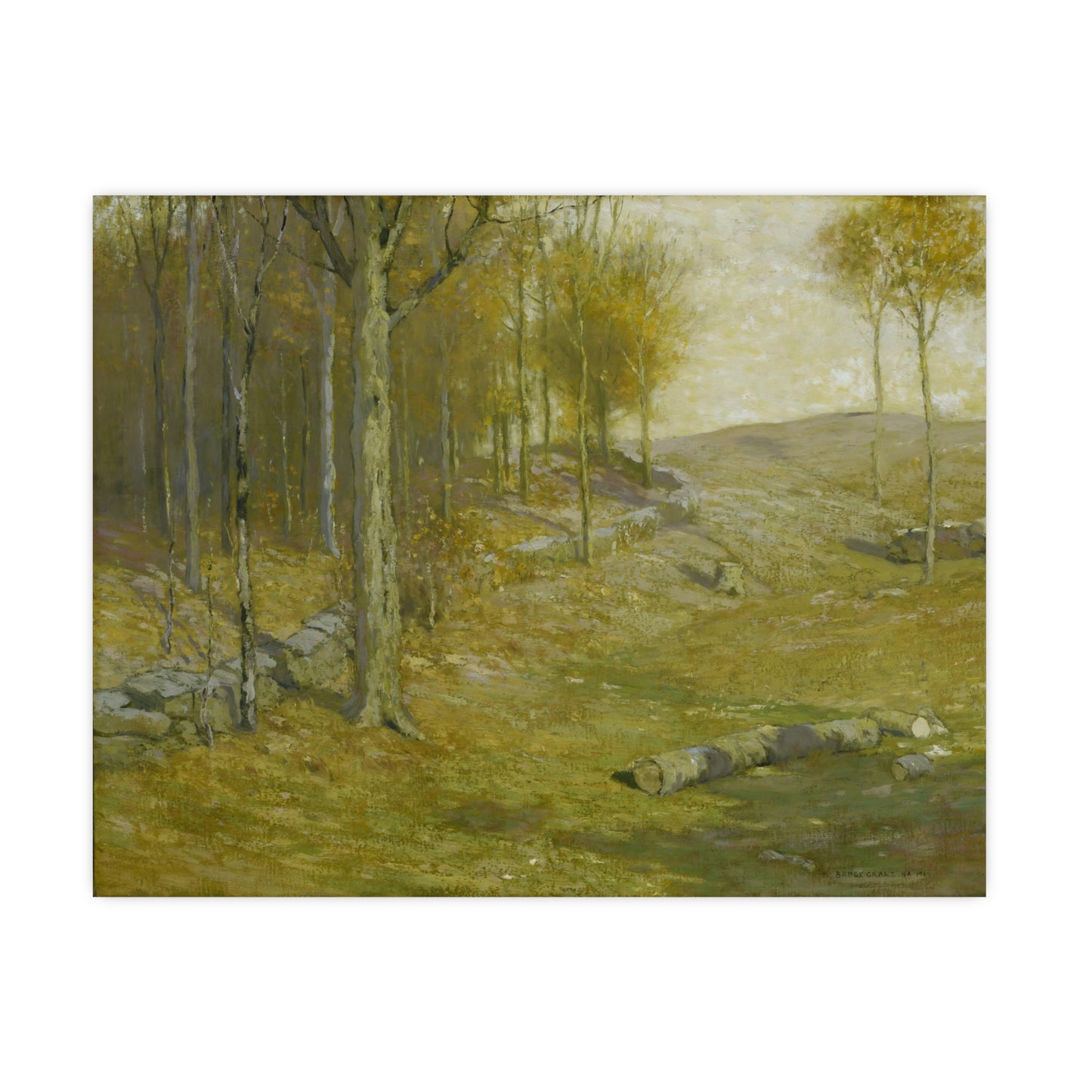 Autumn in the Forest