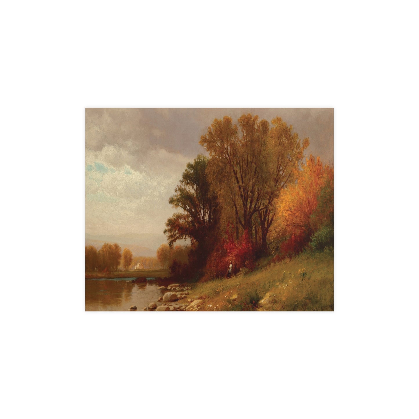 Fall Foliage at Sunset