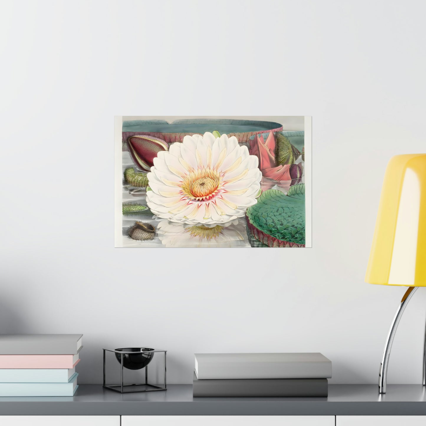 Lily Flower