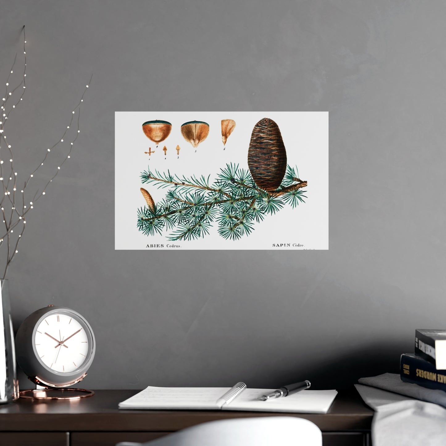 Acorn 9
