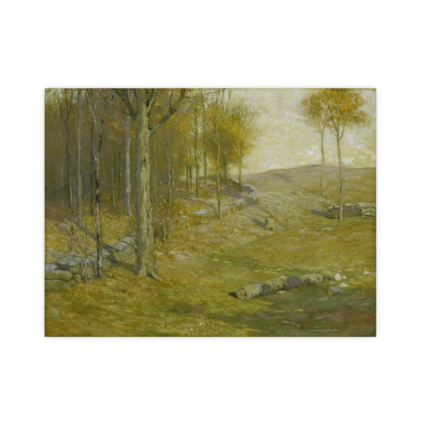 Autumn in the Forest