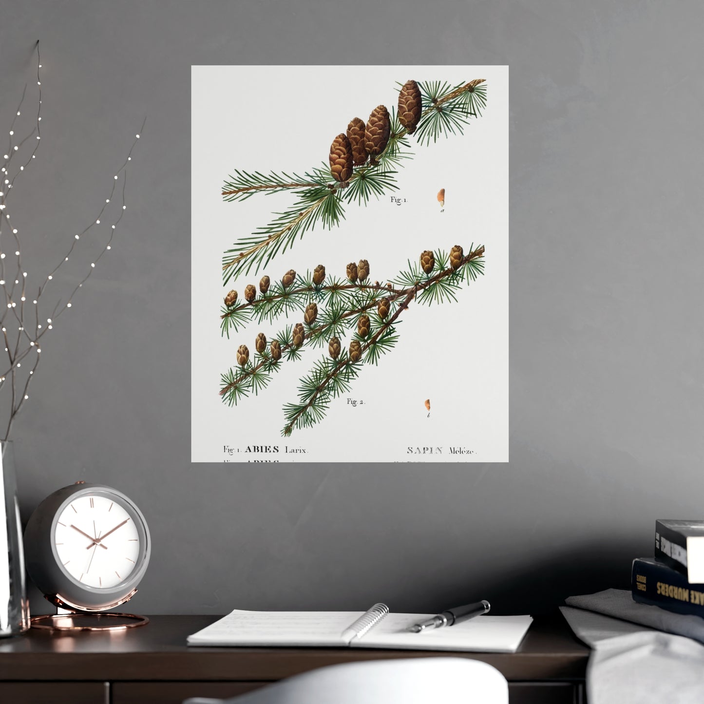 Acorn 1