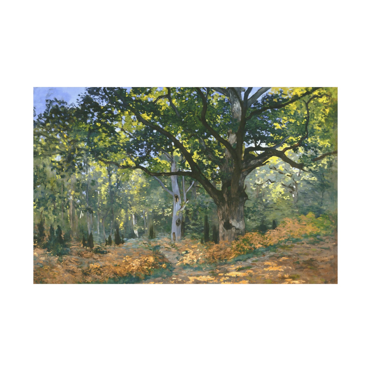 The Bodmer Oak, Fontainebleau Forest