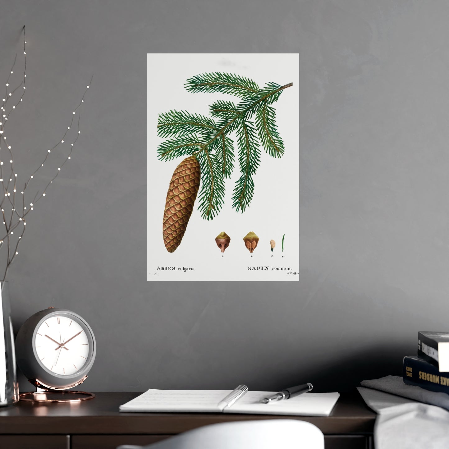 Acorn 3