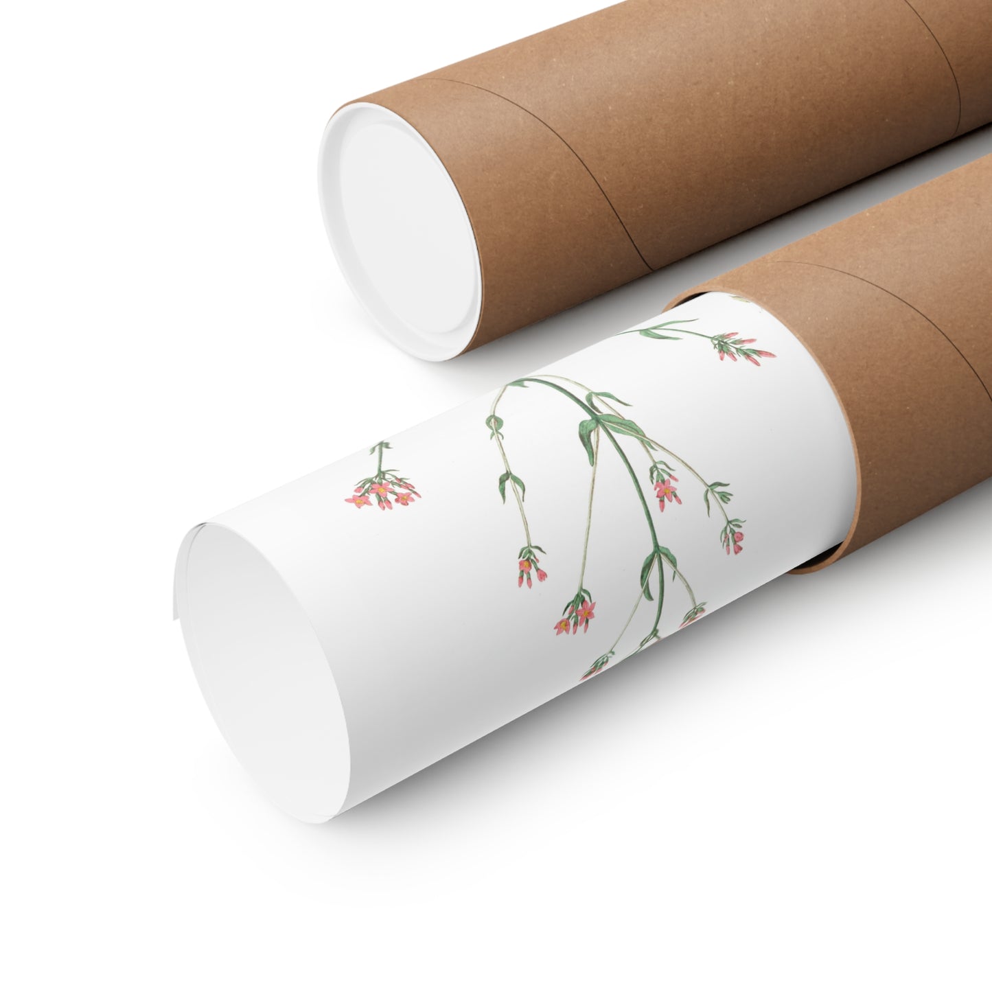 La Petite Centauree Flower Wall Print
