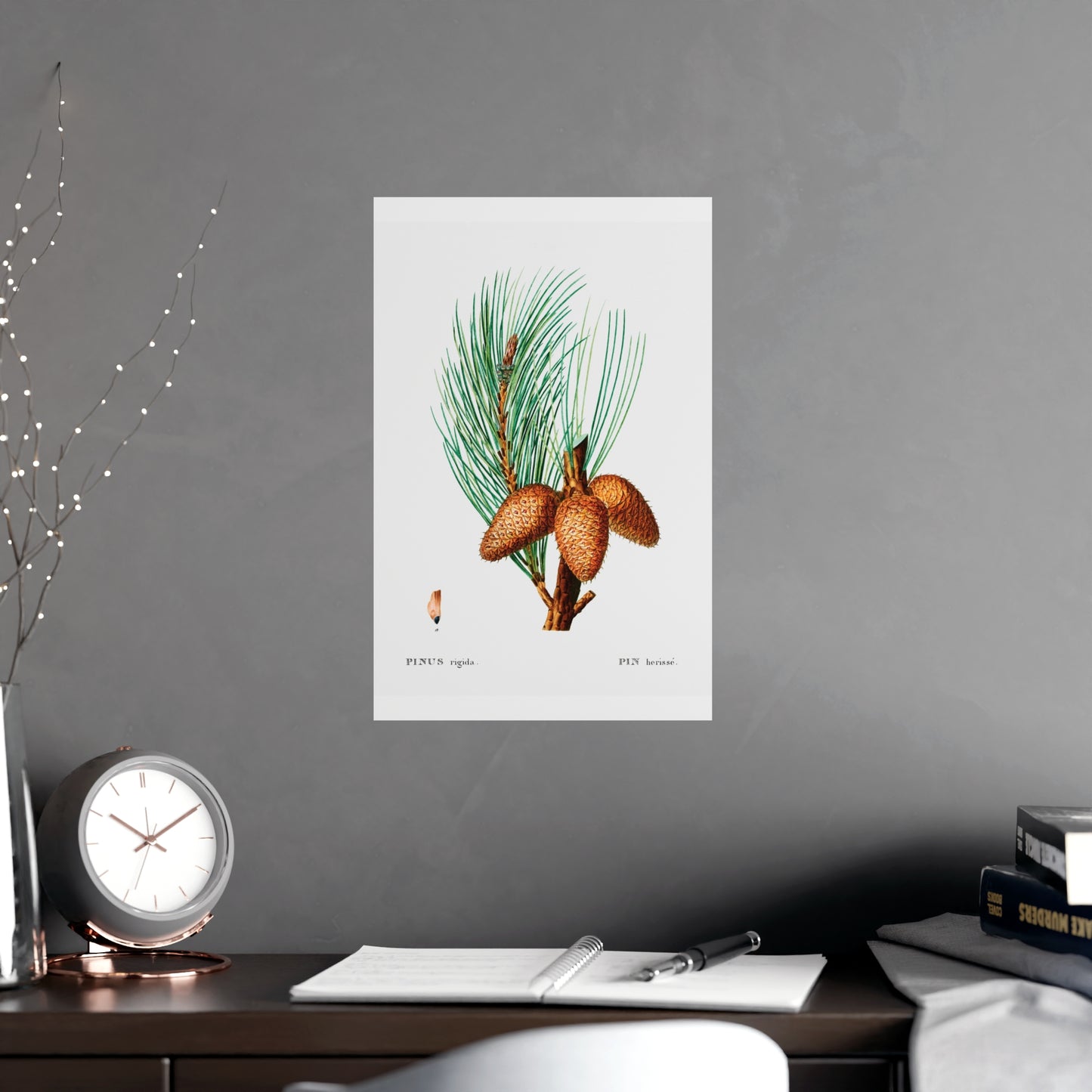 Acorn 13