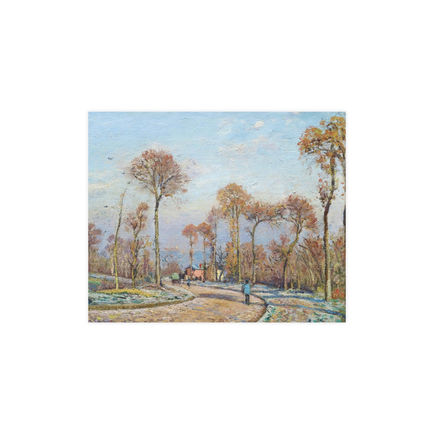 Trees During Fall Season