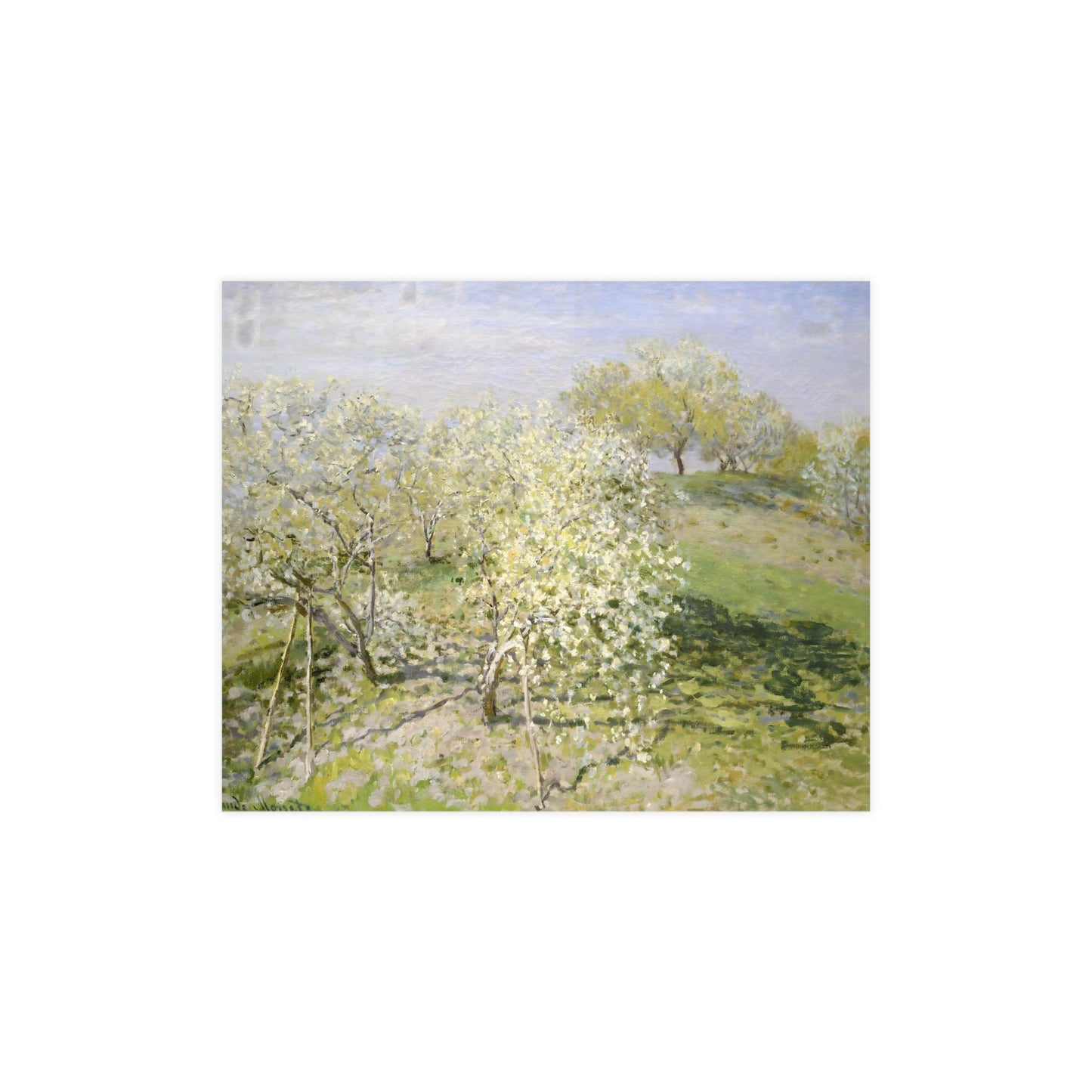 Flowering Tree