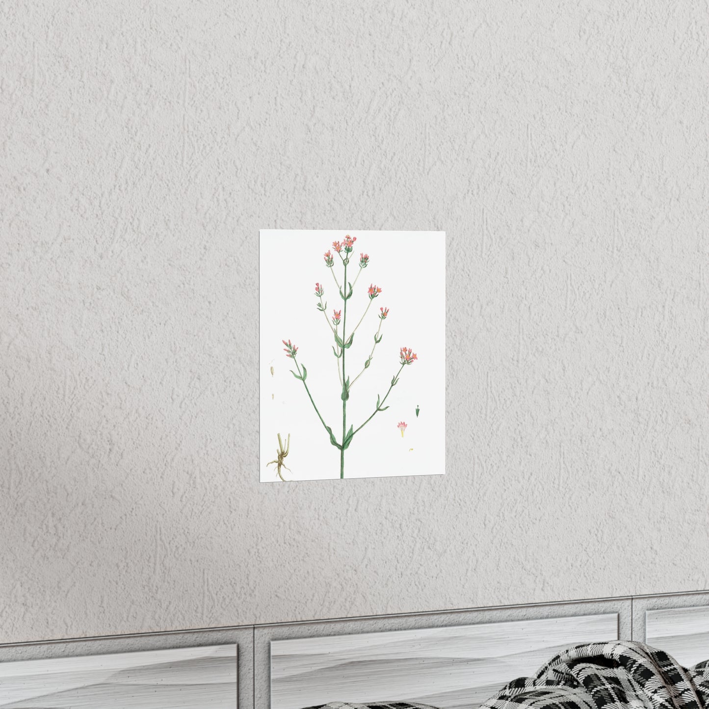La Petite Centauree Flower Wall Print