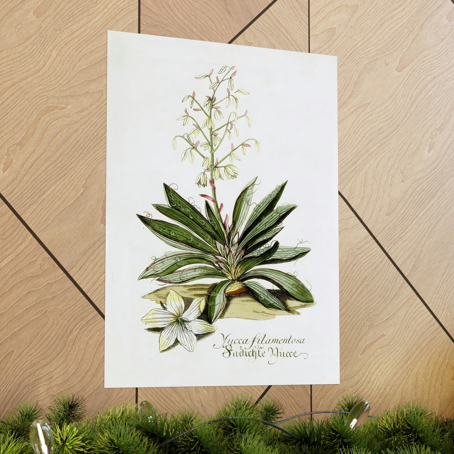 Yucca Filamentosa Flower Wall Print