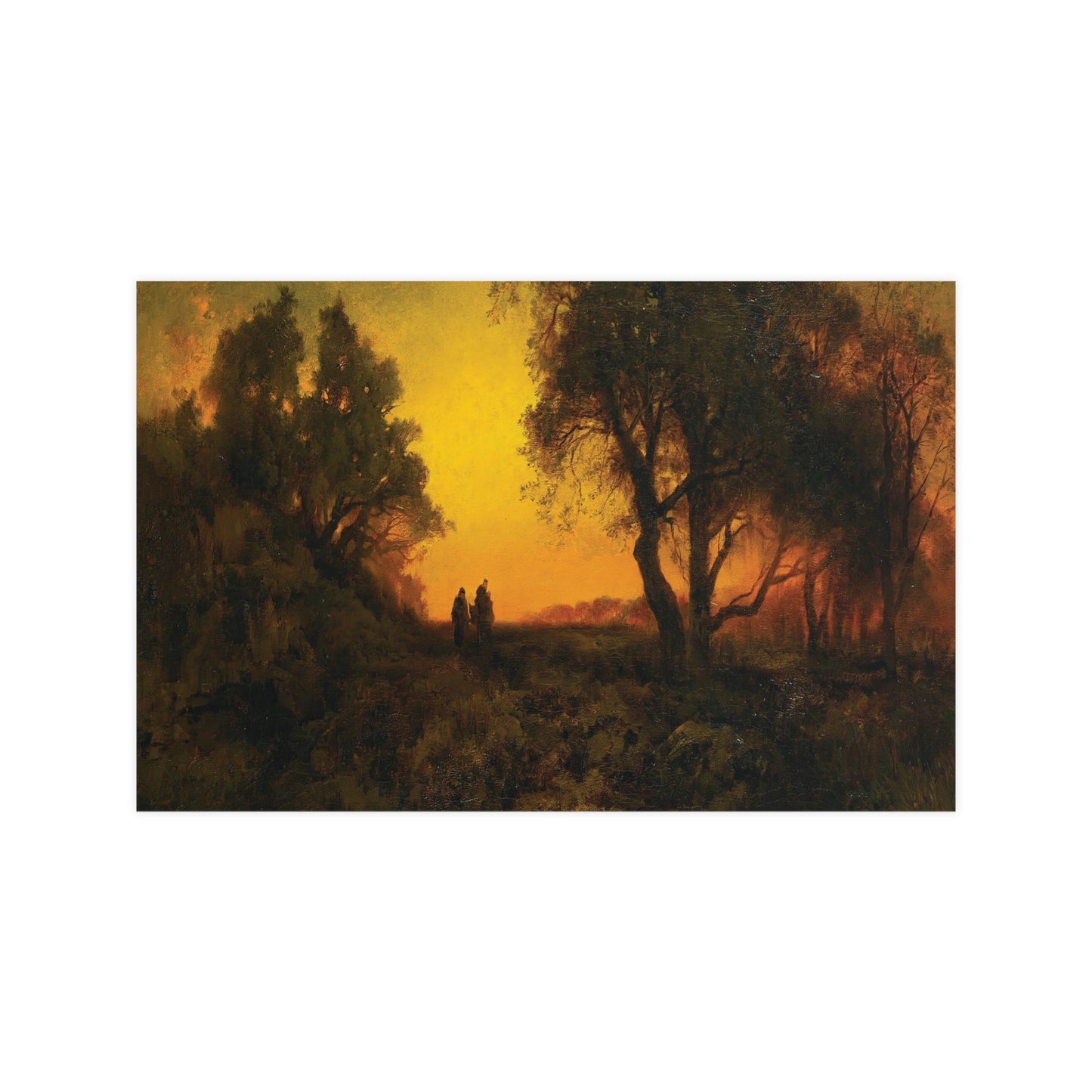 Sunset Over Fall Forest