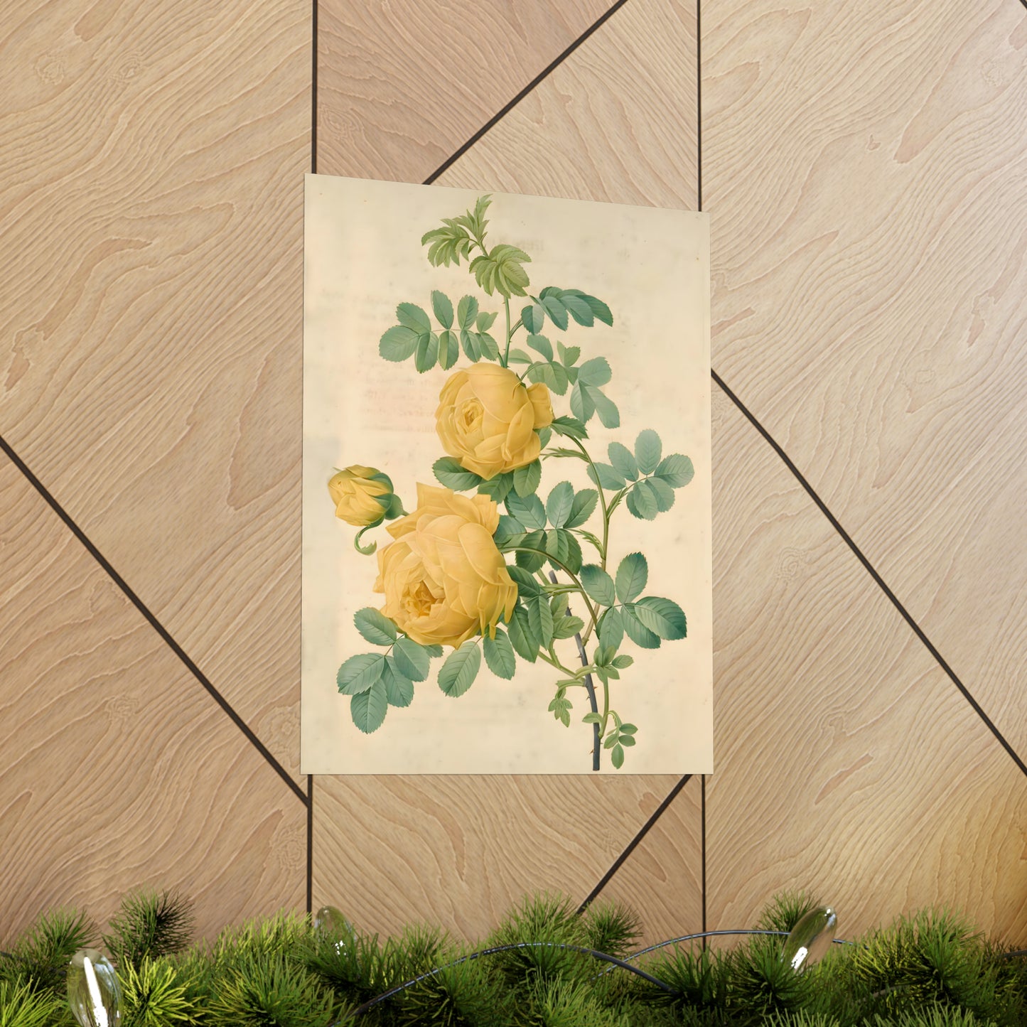 Yellow Rose Bush