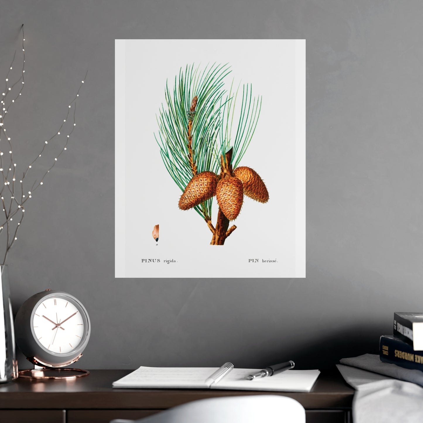 Acorn 13
