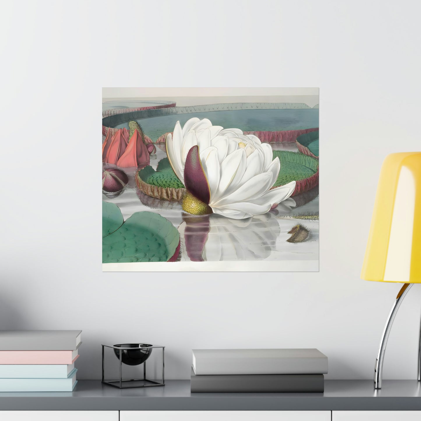 Lilies
