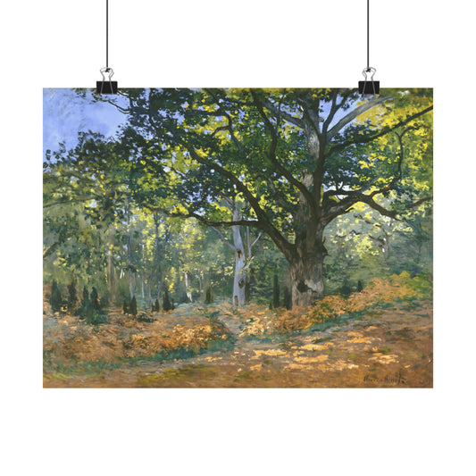 The Bodmer Oak, Fontainebleau Forest