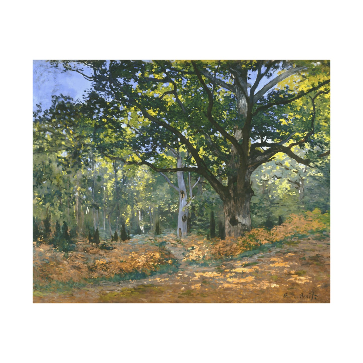The Bodmer Oak, Fontainebleau Forest