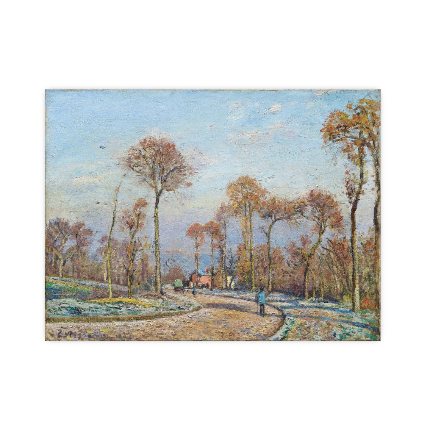 Trees During Fall Season