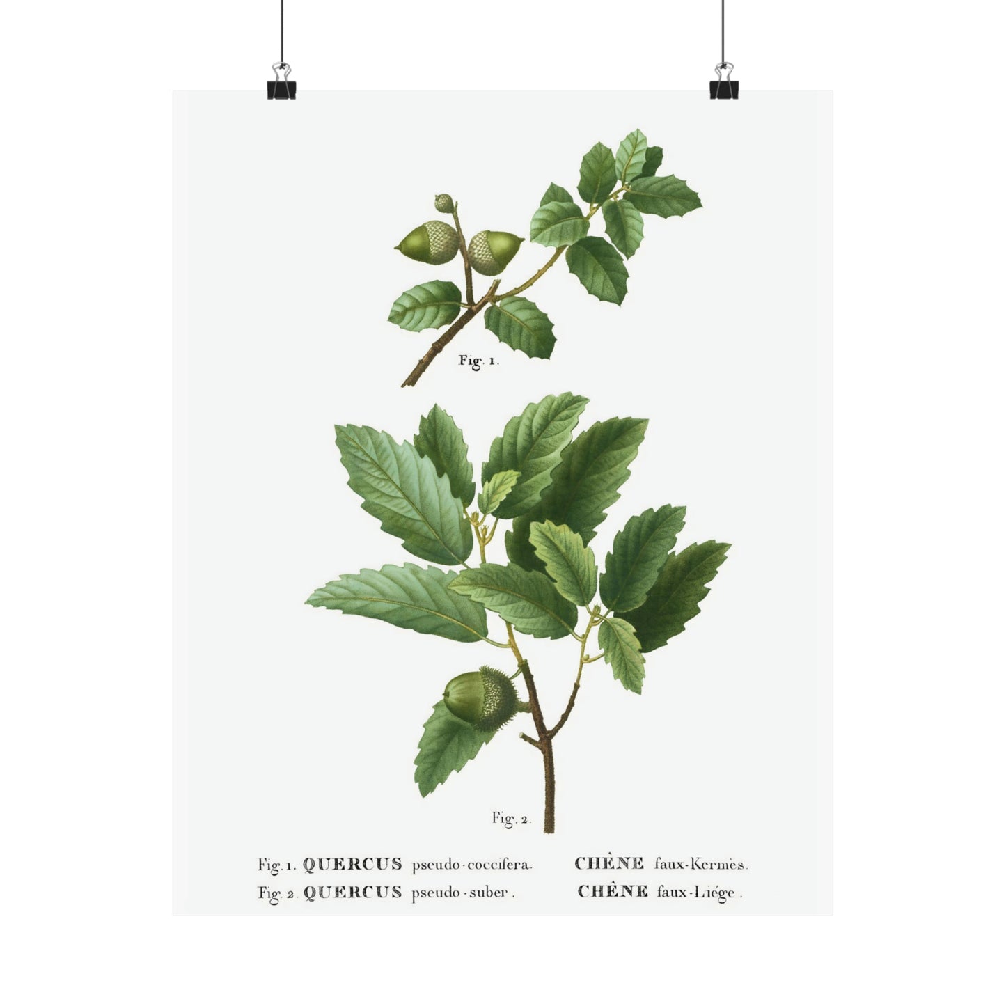Fall Acorn Wall Art 4