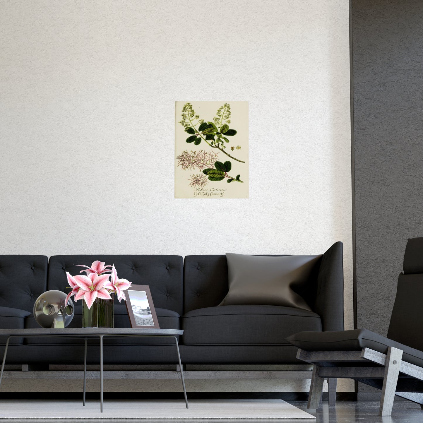 Cotinus Wig Tree Wall Art Prints