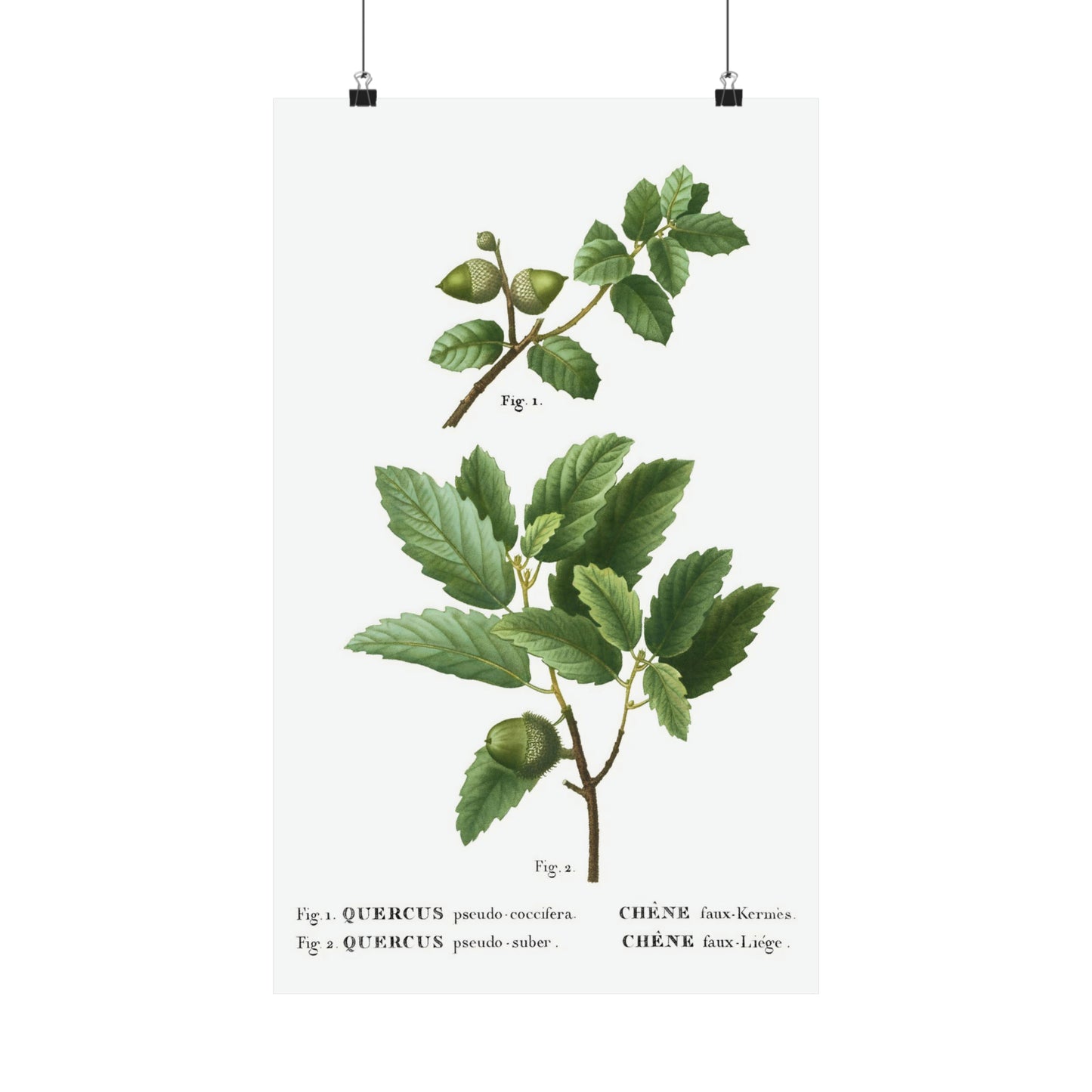 Fall Acorn Wall Art 4