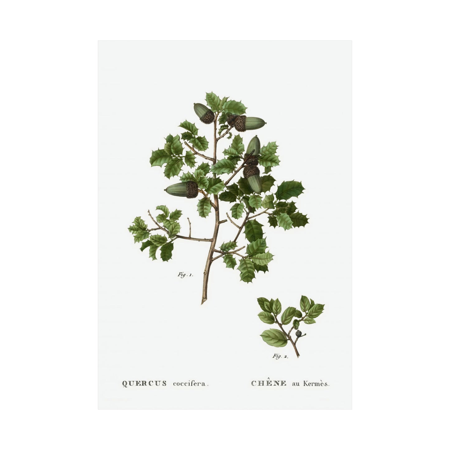 Fall Acorn Wall Art 10
