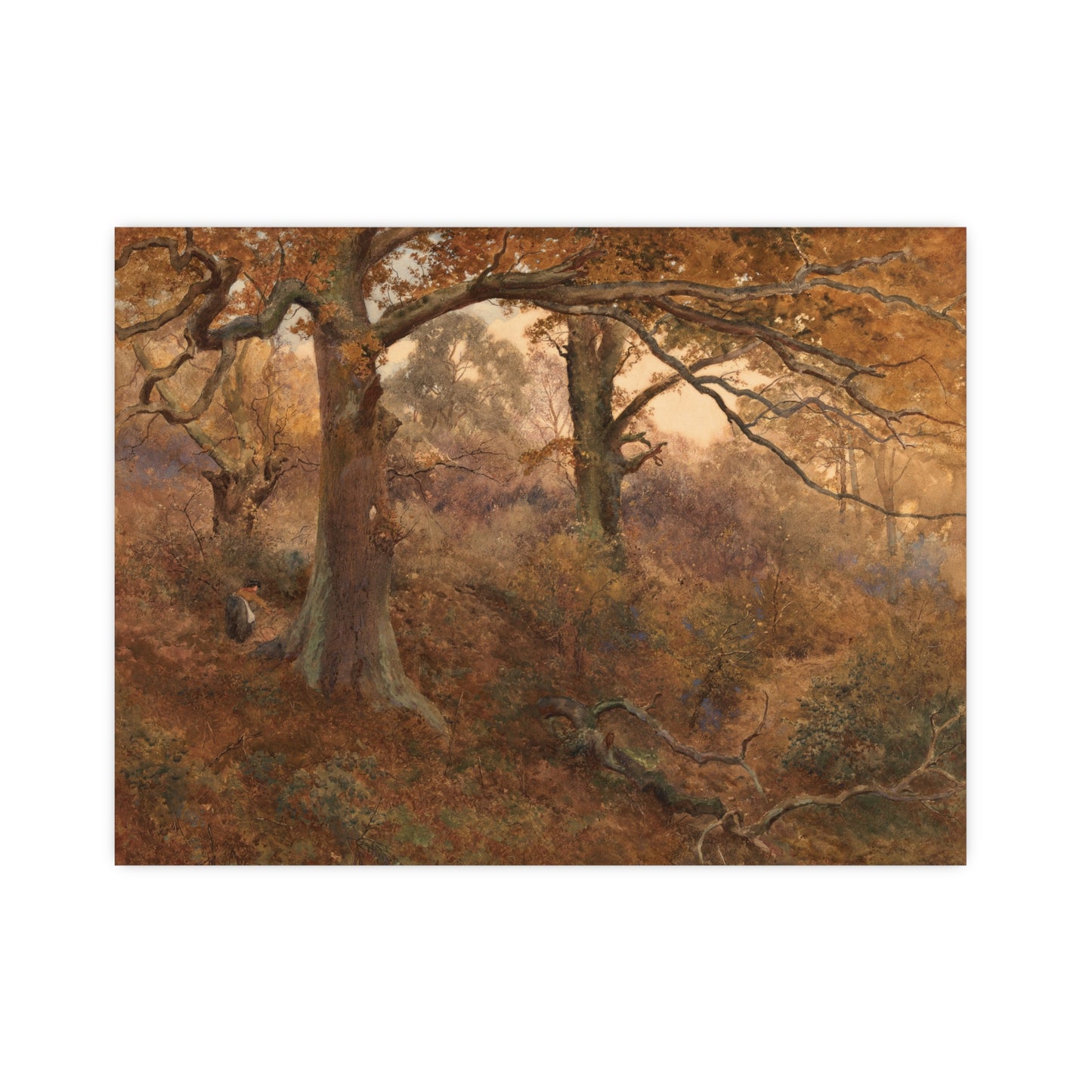 Forest Landscape